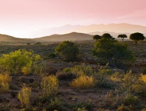 African-tours-1