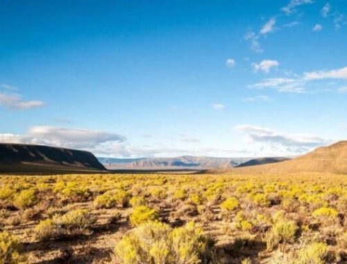 Karoo-tours